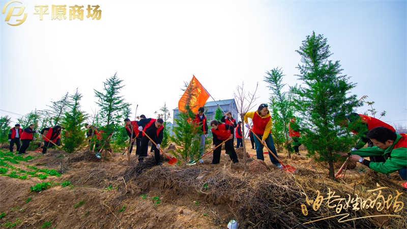 為了心中那片森林