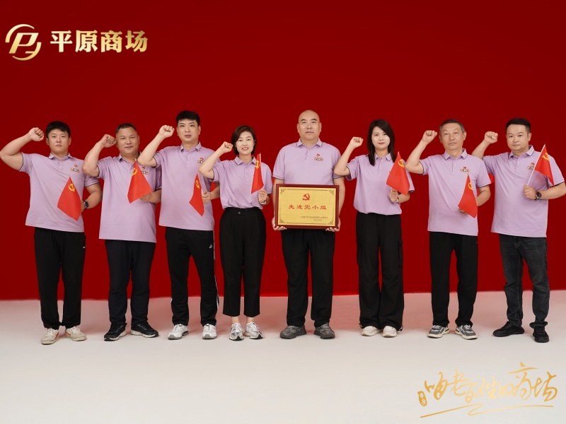 先進(jìn)黨小組  第二黨支部第三黨小組